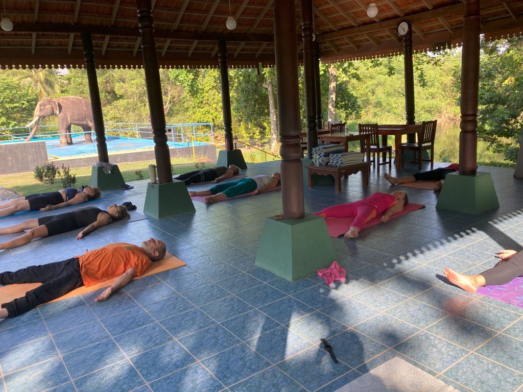 PErsone sdraiate a terra che praticano yoga