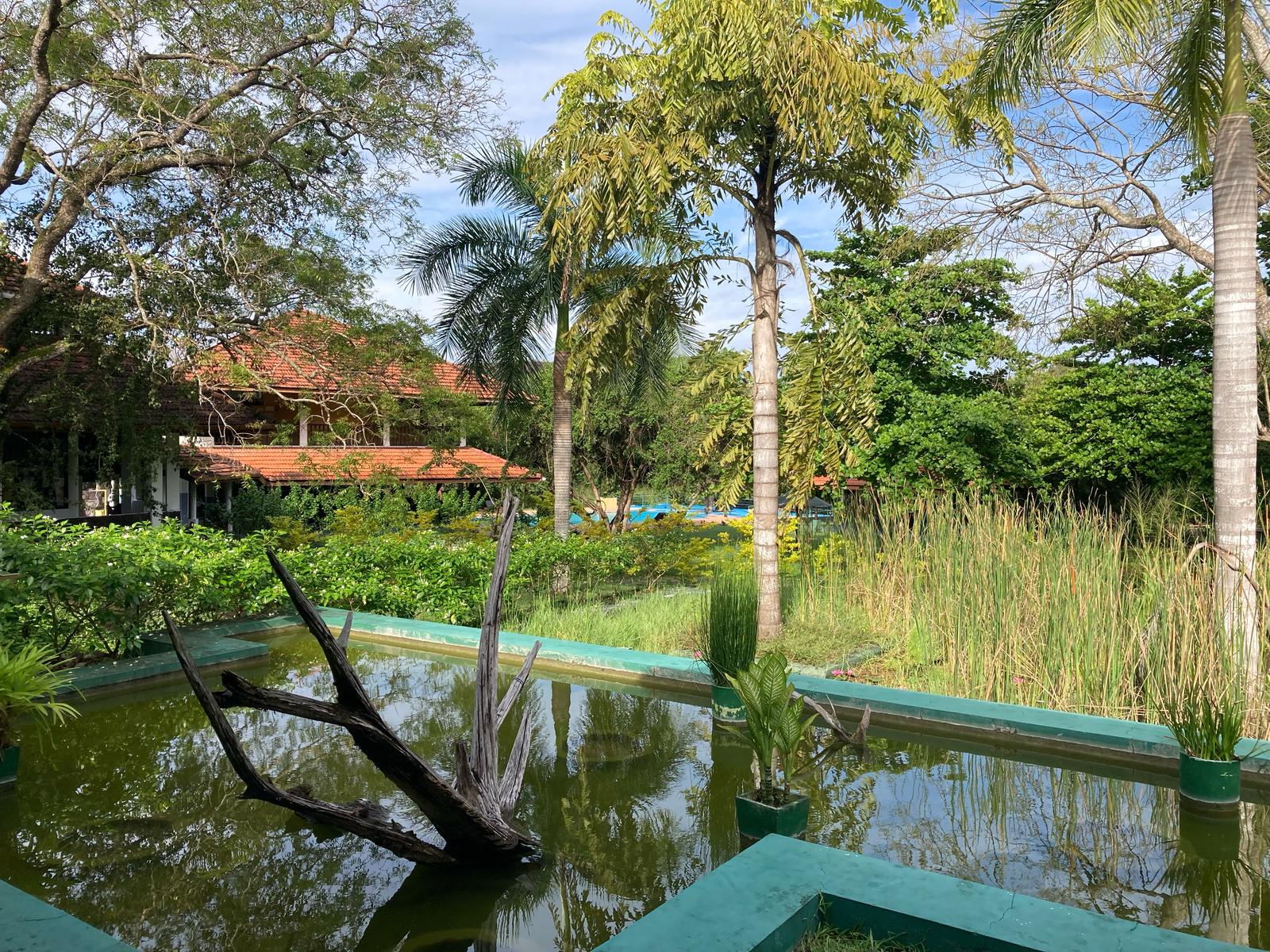 CLinica ayurveda nel verde della foresta tropicale