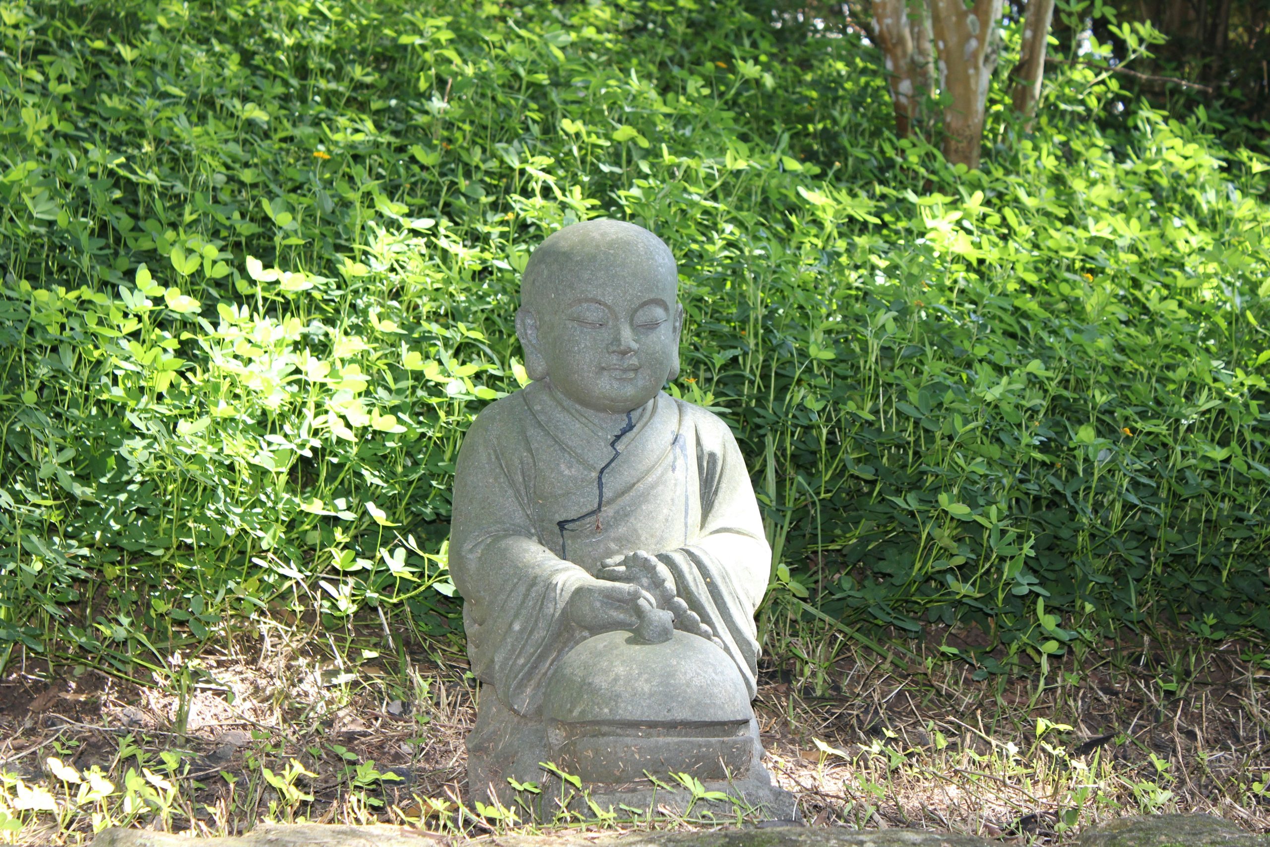 Buddha in giardino by Carlo Silva Unsplash