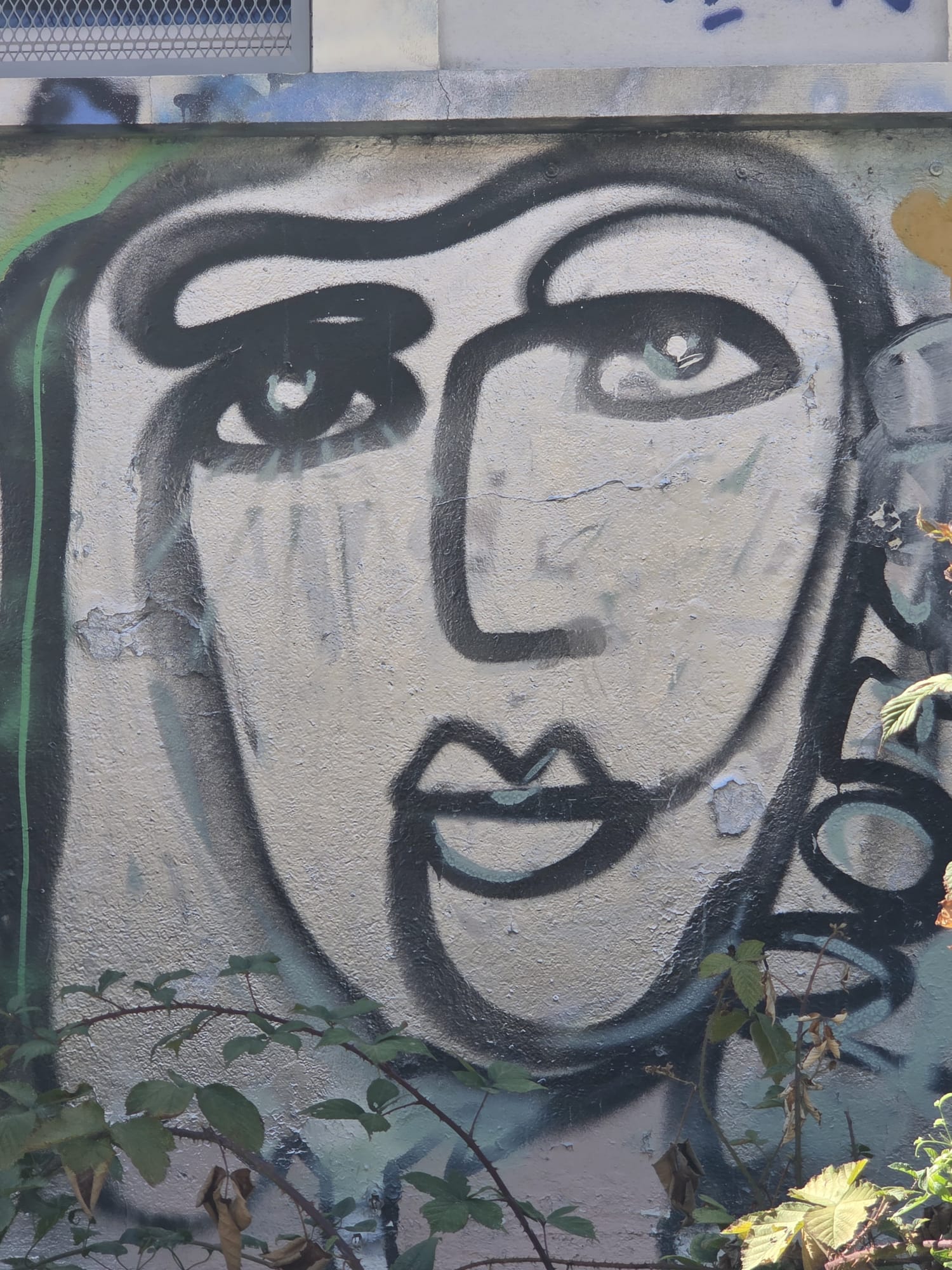 Viso donna graffiti